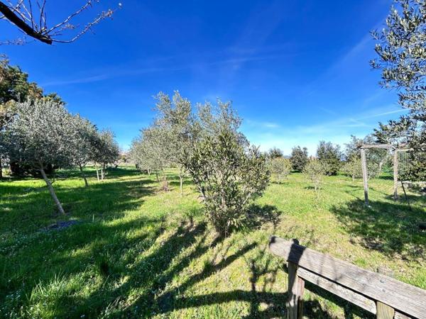 Villa familiale de 140m² avec grand terrain et dépendances