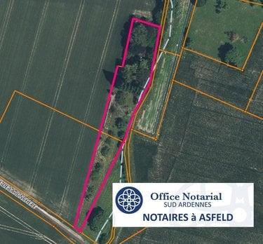 Terrain de loisirs - Bois - Etang à vendre à Alland'Huy-et-Sausseuil dans les Ardennes (08130), ref : 021/2011