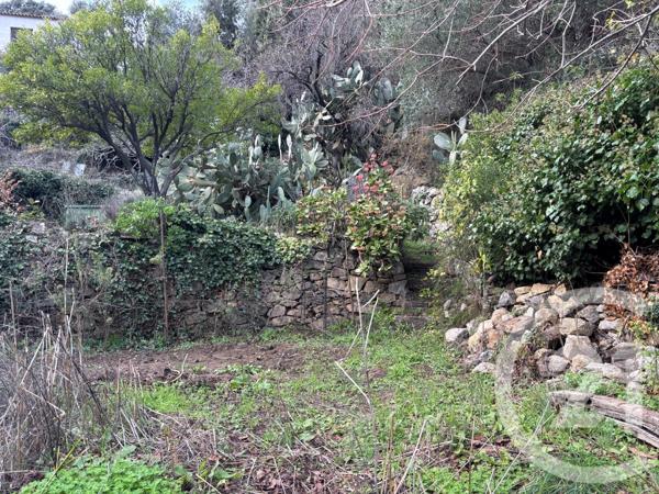 Terrain à vendre  585 m2 OCCHIATANA - 202