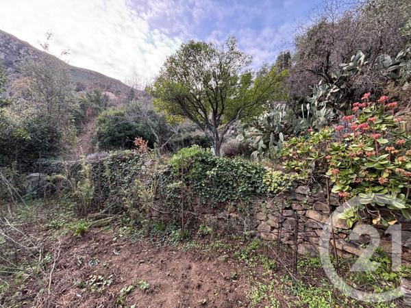 Terrain à vendre  585 m2 OCCHIATANA - 202