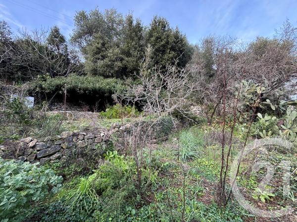 Terrain à vendre  585 m2 OCCHIATANA - 202