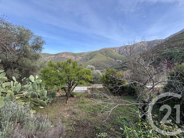 Terrain à vendre  585 m2 OCCHIATANA - 202