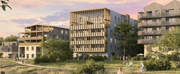 Appartement T5 et plus