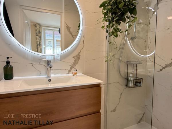 Olivet bourg , a vendre , Maison bourgeoise et dépendance aménagée , cour intérieure et jardin