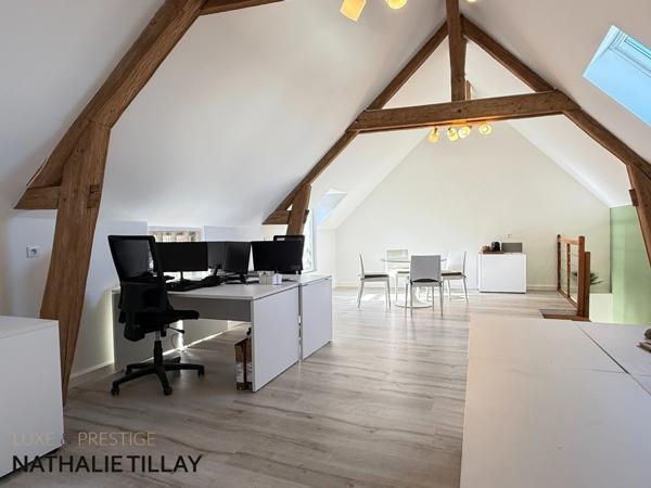 Olivet bourg , a vendre , Maison bourgeoise et dépendance aménagée , cour intérieure et jardin