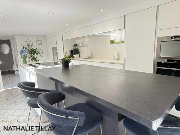 Olivet bourg , a vendre , Maison bourgeoise et dépendance aménagée , cour intérieure et jardin