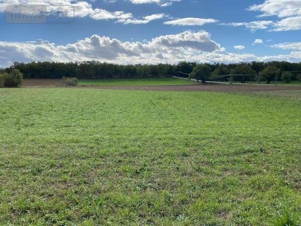 Terrain à Batir à vendre à Lalbenque dans le Lot (46230), ref : 009/1622