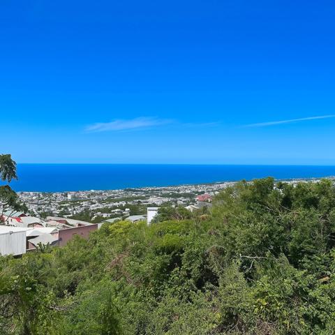 Terrain à vendre SAINT DENIS CAMELIAS (974)