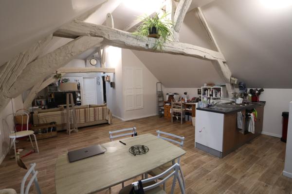 Appartement Orleans 2 pièce(s) 51m2