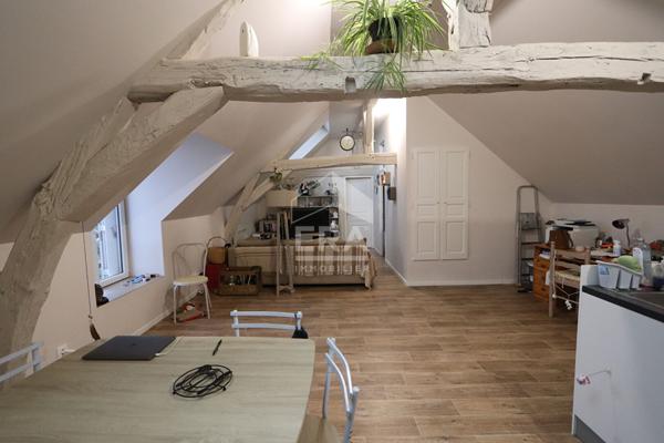 Appartement Orleans 2 pièce(s) 51m2