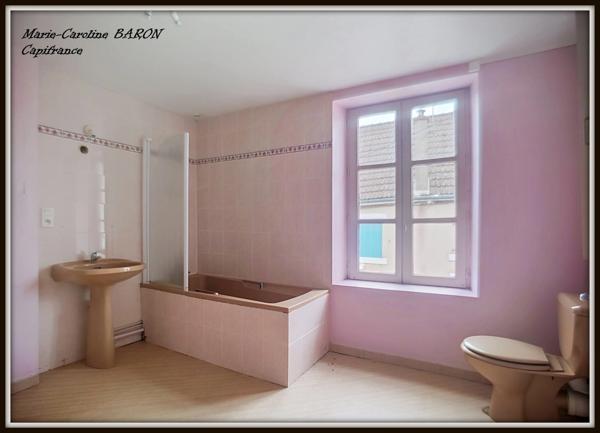 Immeubles pour investissement  BUZANCAIS (36)