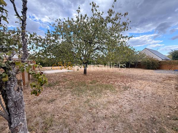 Vente
                Terrain801 m² - AMBOISE (37400)