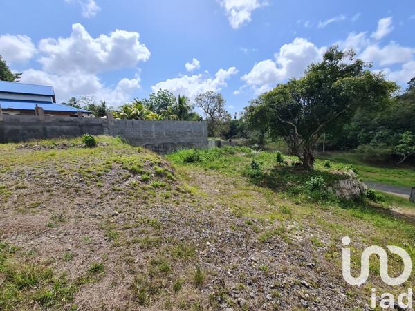 Terrain à vendre 1 000 m² Le Moule