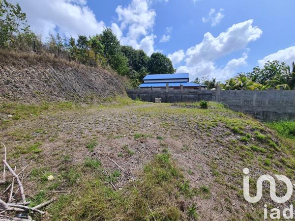 Terrain à vendre 1 000 m² Le Moule