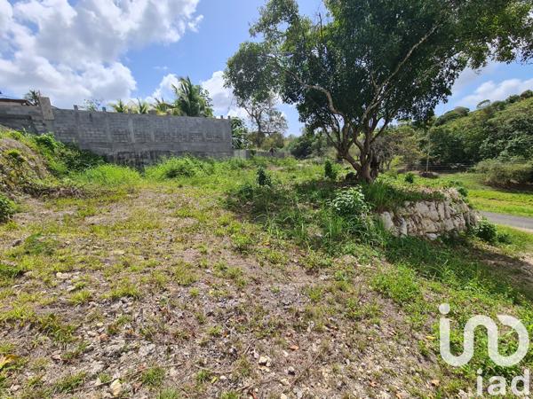 Terrain à vendre 1 000 m² Le Moule