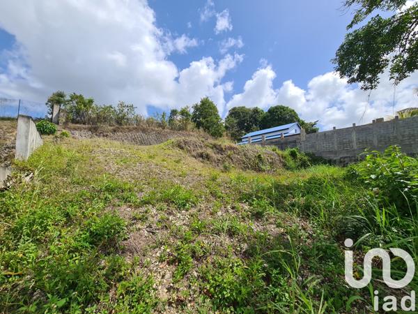 Terrain à vendre 1 000 m² Le Moule