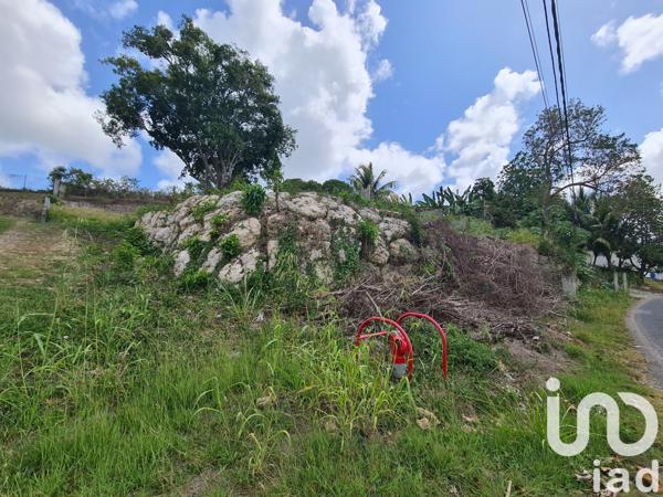 Terrain à vendre 1 000 m² Le Moule