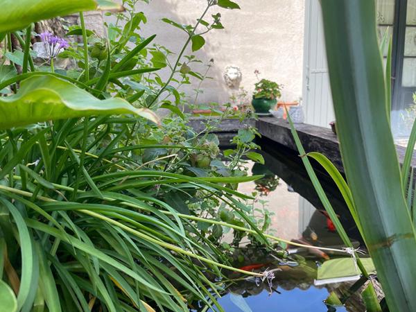 Maison Velleron 9 pièce(s) 238 m2