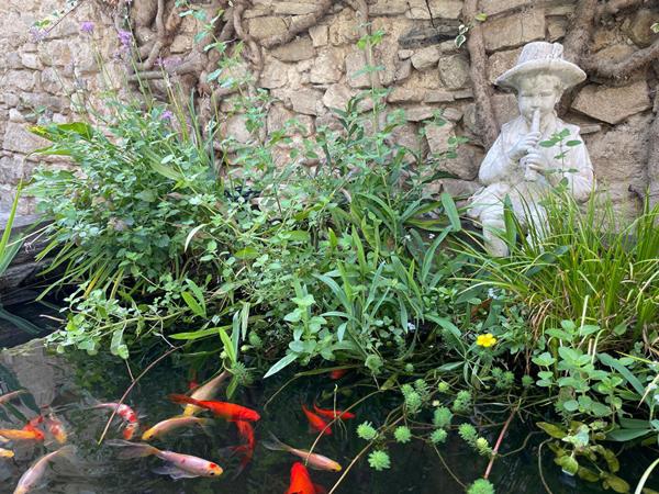 Maison Velleron 9 pièce(s) 238 m2