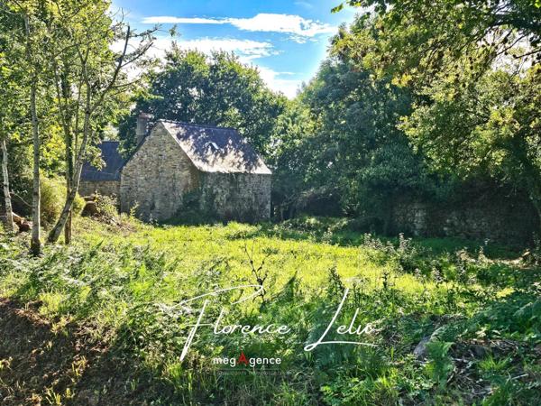 Maison à BOURBRIAC, 22390 - 1 pièce 29m²