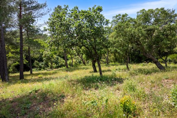 Terrain à vendre avec permis de construire