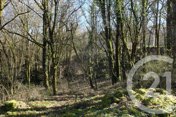 Maison à vendre  3 pièces - 48 m2 BALADOU - 46