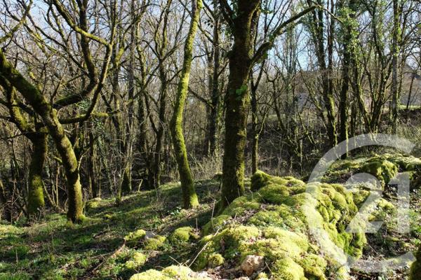 Maison à vendre  3 pièces - 48 m2 BALADOU - 46