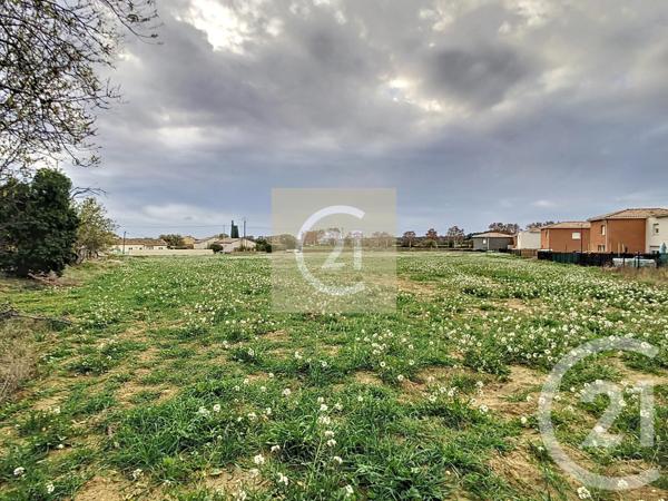 Terrain à vendre  515 m2 ESPONDEILHAN - 34