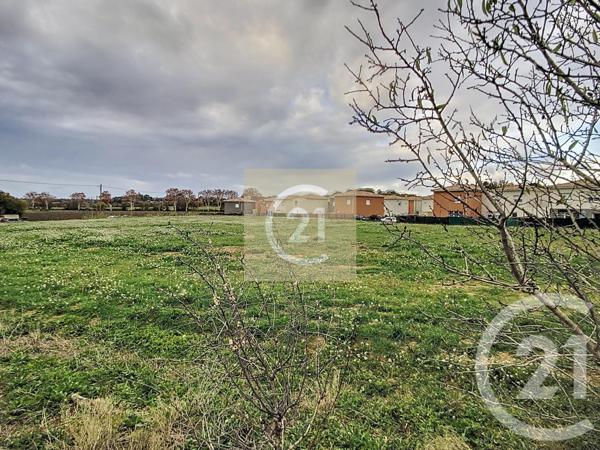 Terrain à vendre  515 m2 ESPONDEILHAN - 34