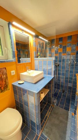 Environnement exceptionnel, maison en pierre sur 5000m de terrain plus studio