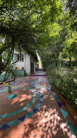 Environnement exceptionnel, maison en pierre sur 5000m de terrain plus studio