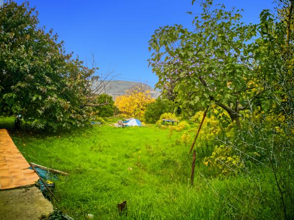 Castagniers (06670) Terrain constructible plat 983 m², exposé sud-ouest – Bas de Casstagnneirs Castagniers