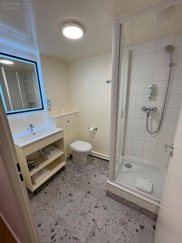 Appartement meublé à vendre à Asnières-sur-Seine dans les Hauts-de-Seine (92600), ref : 91063-8