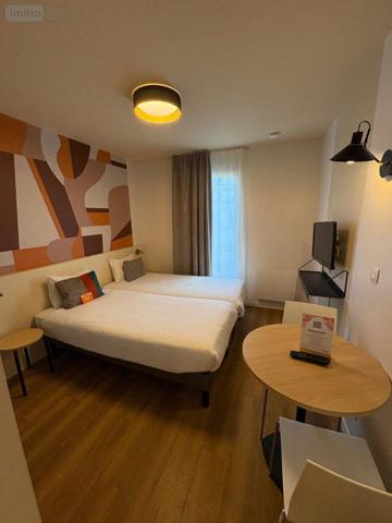 Appartement meublé à vendre à Asnières-sur-Seine dans les Hauts-de-Seine (92600), ref : 91063-8