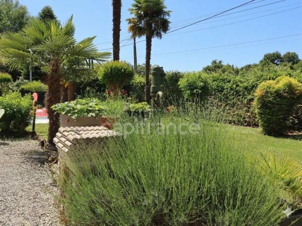 Demeure de caractère avec piscine et dépendances - Un lieu à réinventer - Chevanceaux (17)