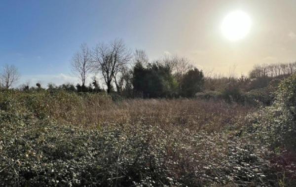 Vente Maison Sauze-vaussais   