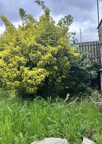 Vente / Maison traditionnelle