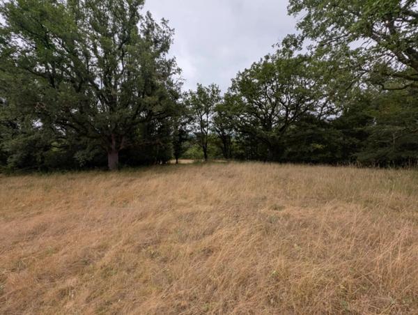 Vente Terrain 8740 m2 à Gourdon