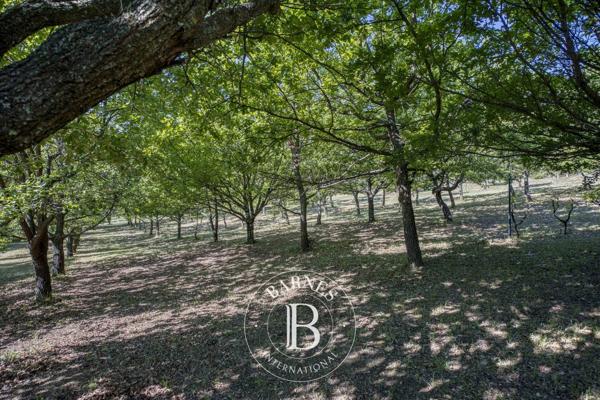 Vaison-la-Romaine, Mas 5 Chambres -  190 m² à vendre