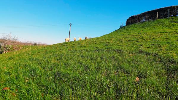 Guiche (64520) Guiche - Terrain constructible avec vue dégagée