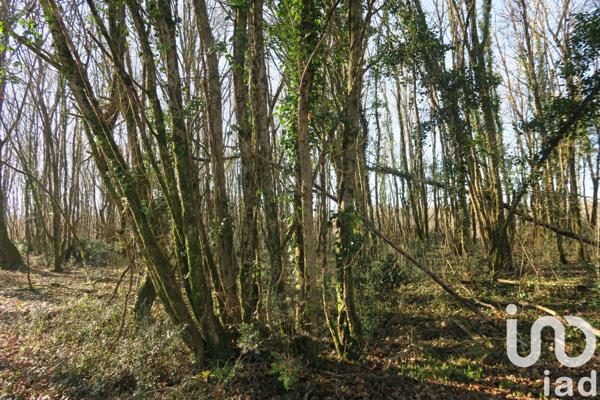 Terrain à vendre 8 811 m² Civaux