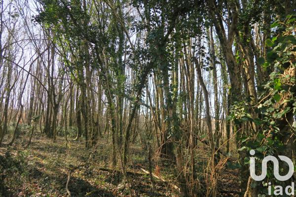 Terrain à vendre 8 811 m² Civaux