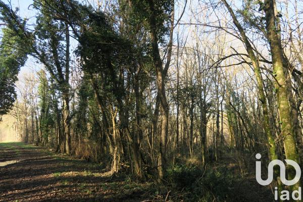 Terrain à vendre 8 811 m² Civaux