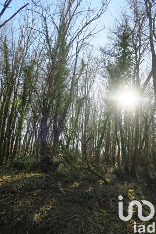 Terrain à vendre 8 811 m² Civaux