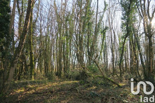 Terrain à vendre 8 811 m² Civaux