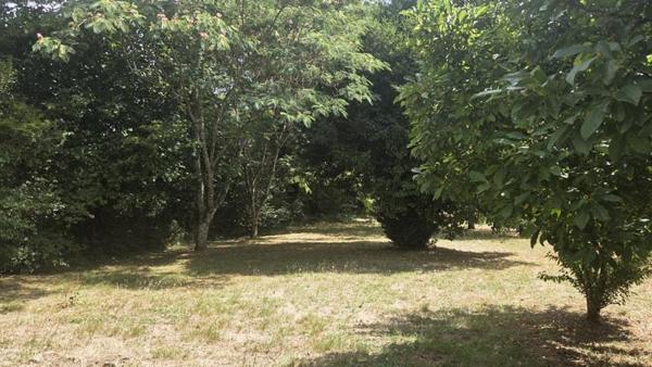 Maison à vendre 106 880 € Chamboulive 5 p 85 m² DPE