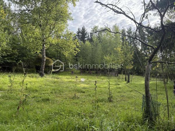 Terrain de loisirs de 4 620 m²