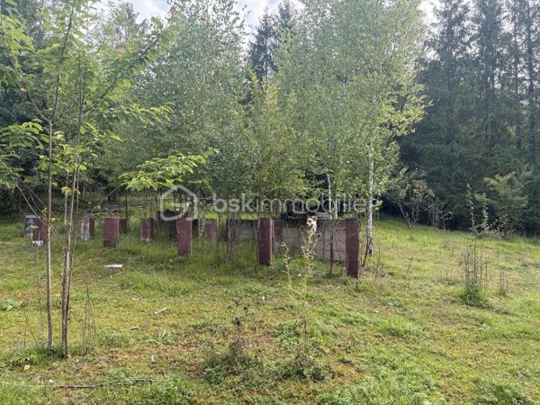 Terrain de loisirs de 4 620 m²