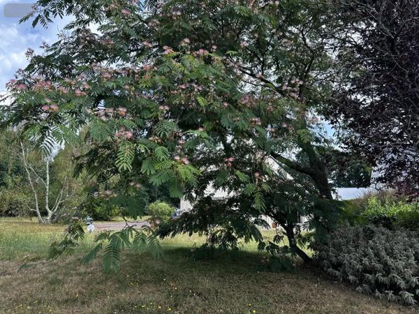 Achat - Maison Séné 56860 140 m 2 5409 m 2