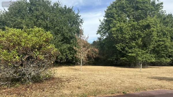 Achat - Maison Séné 56860 140 m 2 5409 m 2